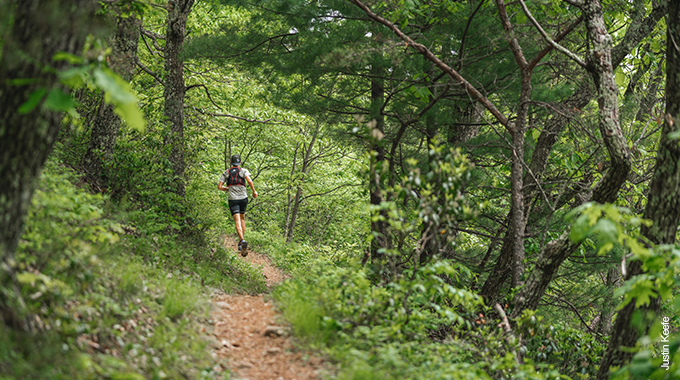 The Whetstone Trail